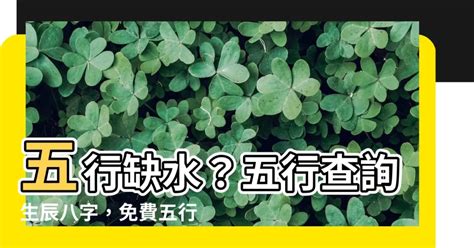 怎麼知道自己屬什麼|生辰八字查詢，生辰八字五行查詢，五行屬性查詢